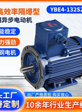 江苏大中电机YBE4-132S2-2超高效率隔爆型三相异步电动机