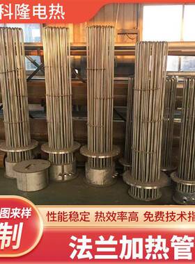 电加热管法兰电加热管锅炉釜水箱导热油炉加热管锅炉电热管