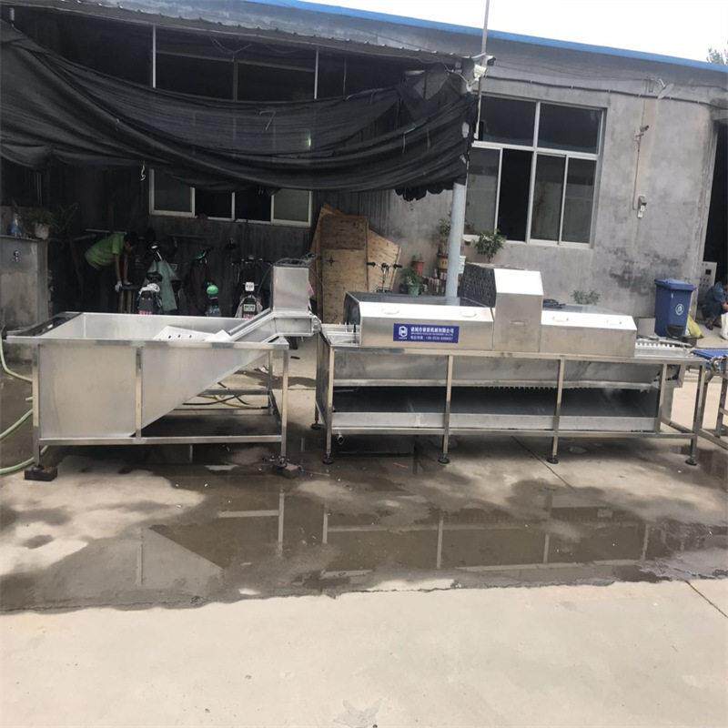 全自动洗蛋机 笨鸡蛋土鸡蛋清洗生产线 咸鸭蛋初加工清洗去泥去粪