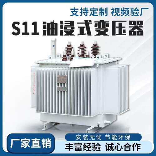 S11-250/630kva油浸式变压器10kv铜铝户外柱上高压三相电力变压器