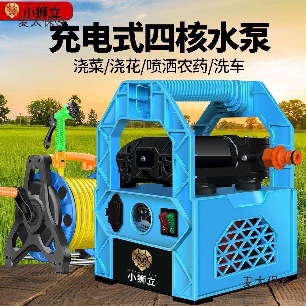 充电式抽水泵小型大功率浇水浇菜神器农用浇地便携锂电灌溉麦太保