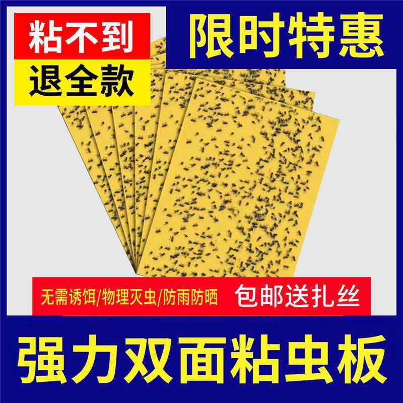 粘虫板黄蓝色双面小黑飞诱虫板大棚专用农用家用诱捕果蝇厂家直销