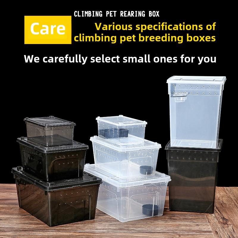 爬行动物繁殖箱壁虎蜘蛛蛇爬行动物宠物箱蚕蜗牛昆虫寄居蟹角蛙龟