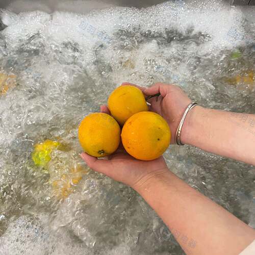 商用双槽清洗叶机DEV 校学食角堂用蔬菜清洗设备 菜类豆去农残臭