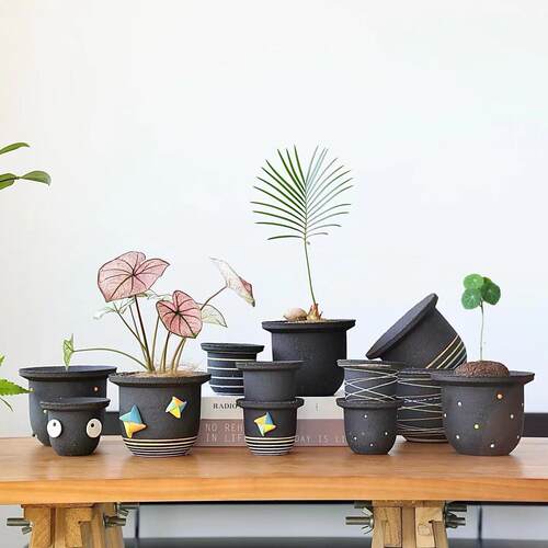 采购产品睡眠不醒，手工制作中型多肉绿色植物，蝴蝶兰，仙人掌，