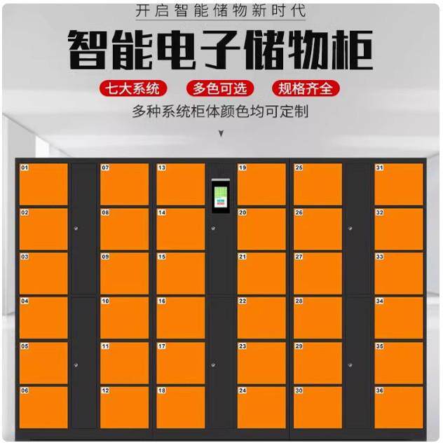 人脸识别寄存柜超市电子置物柜指纹柜自编密码收纳柜智能柜定制