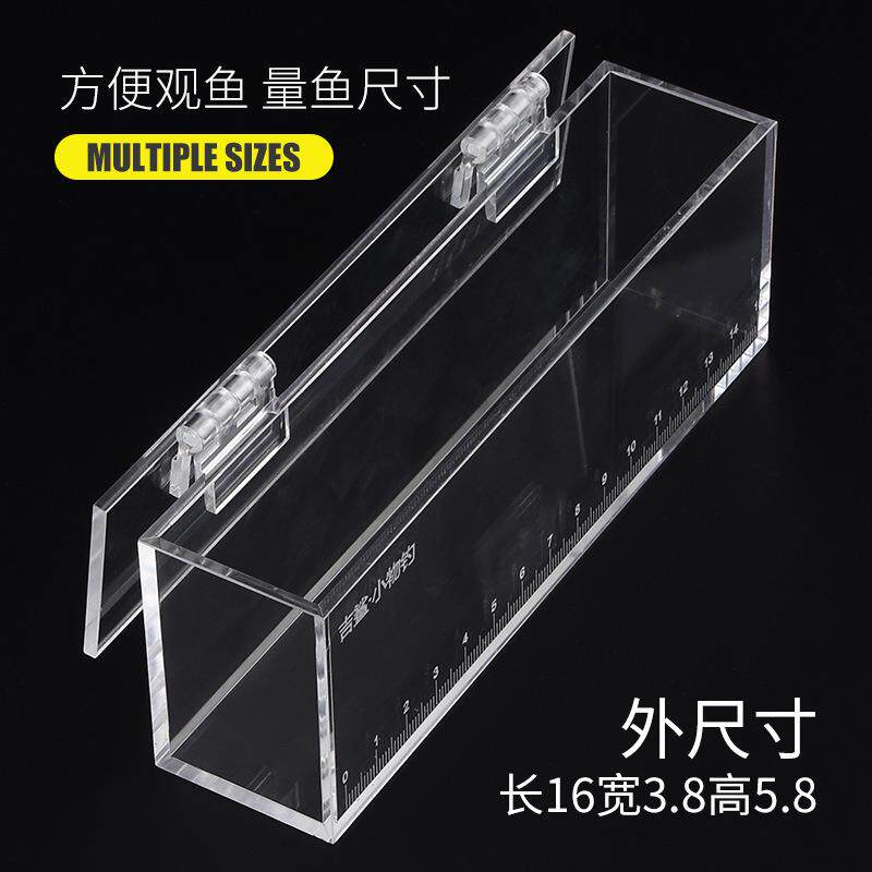 鳑虎小钓透明水晶观鱼盒野采鱼盒小物钓带刻度尺便携式溪流渔具