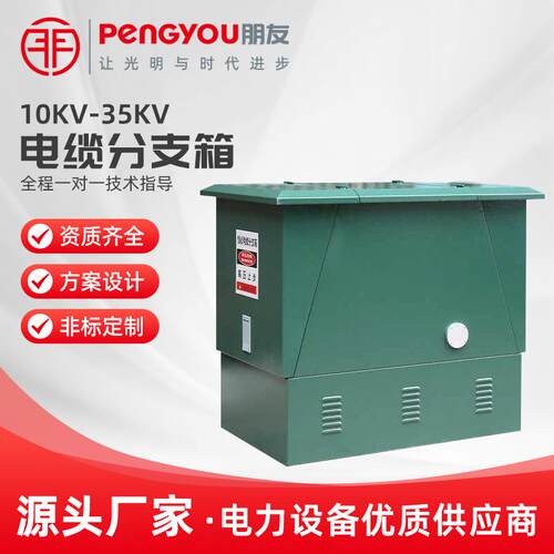 10KV欧式高压电缆分支箱205KV一进二三四五出不锈钢铜排转接箱