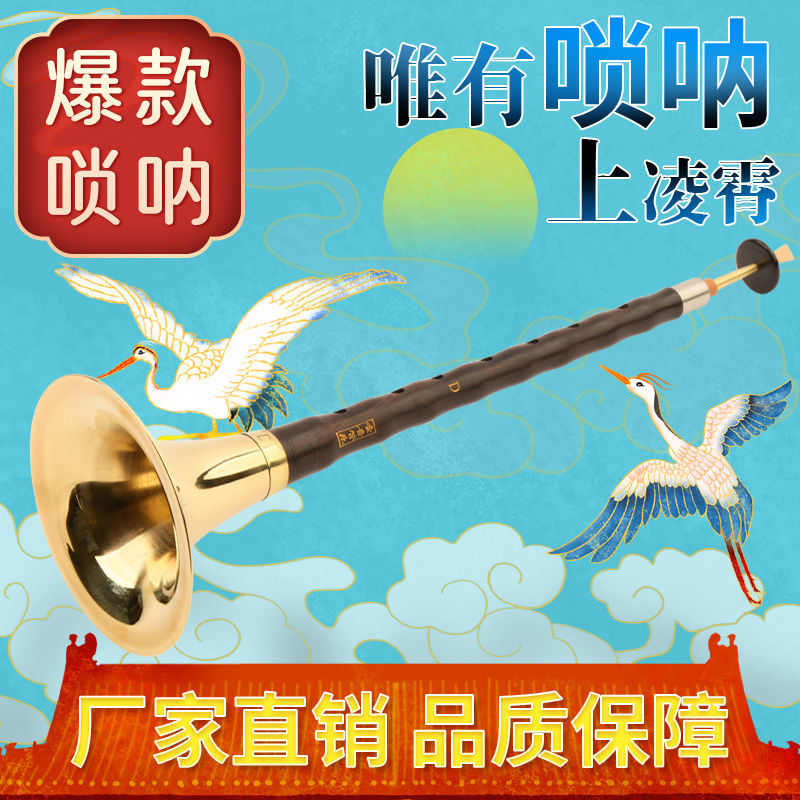 d唢呐儿童乐器专业大中全套邮吹奏初学者调入门成人喇叭包小号