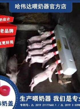 小猪仔猪喂奶器 幼崽哺乳器 小羊羔吃奶奶瓶奶壶零存奶畜牧养殖。