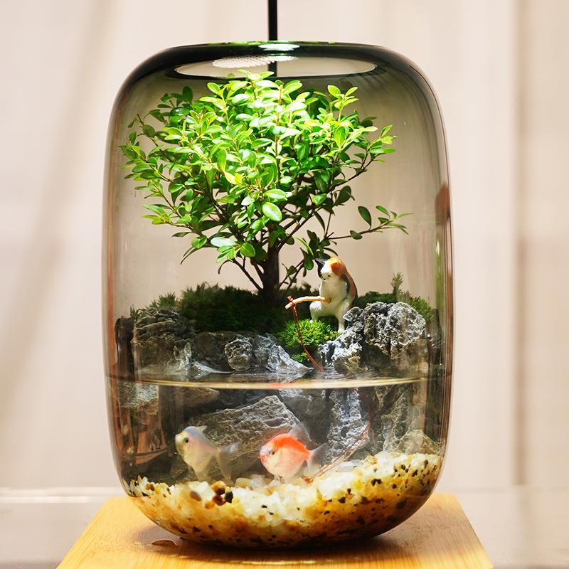 SZ水培植物瓶玻璃花瓶装饰微景观小鱼缸办公室桌面客厅摆件