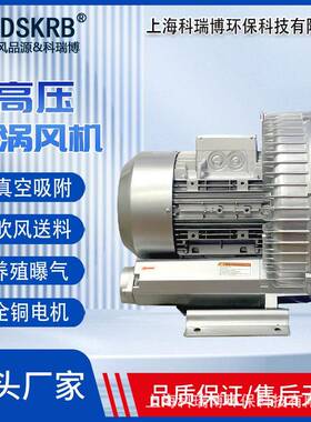 出口巴西RB-93D-3高压风机18.5kw纺织机械风泵RB-93D-2旋涡气泵