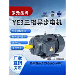 18.5 55千瓦45Kw国标380V电动机 三相异步电动机11