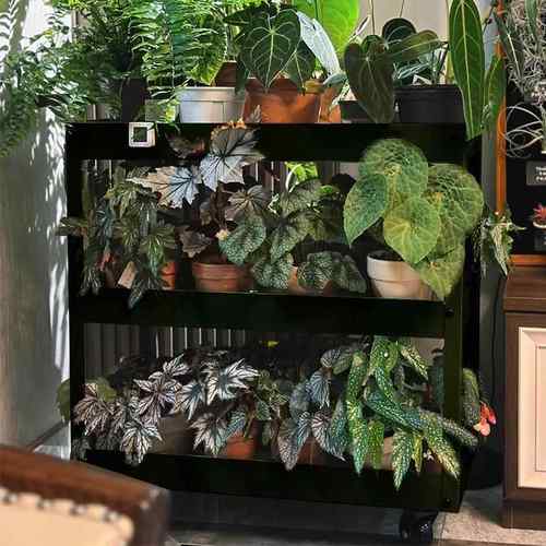 花架子客厅落地式小推车置物架可移动阳台种菜植物架多肉绿植架子