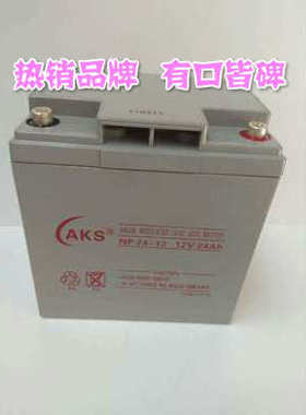 AKS奥克松蓄电池NP24-12 免维护型 机房UPS计算机后备应急用