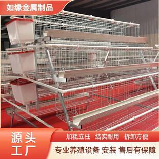 四层四门蛋鸡笼层叠式 蛋鸡笼 养鸡笼A型养殖笼阶梯式