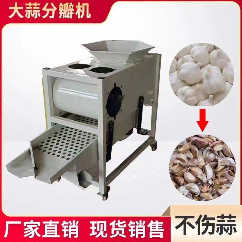 双电机家用自动大蒜分瓣剥蒜机农用蒜种子筛选一体机电蒜种筛选机