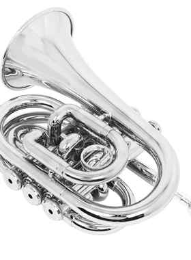 SLADE雷德手掌号降B调漆银微型小号手掌号做工精细专业小号乐器