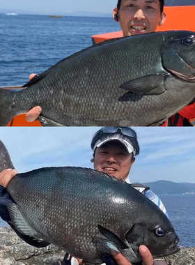 日本宇琦日新NISSIN远投矶竿钓竿PRO SPEC海钓鱼杆黑鲷鱼黄翅路滑