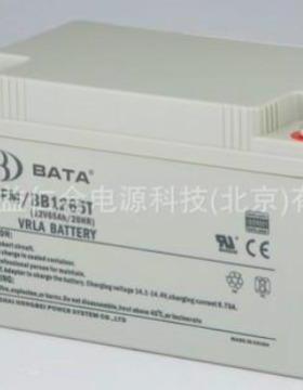 BATA鸿贝FM/BB1265T/12V65AH 鸿贝蓄电池