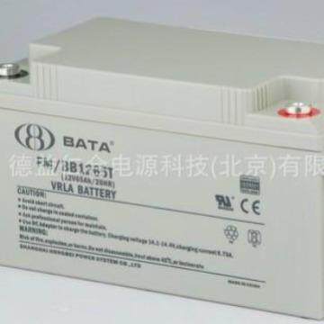 BATA鸿贝FM/BB1265T/12V65AH 鸿贝蓄电池