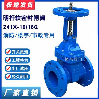 Z41X-10/16明杆弹性座封闸阀 软密封闸阀DN50 65 80 100 150 200