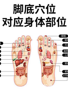 家用足底按摩器足疗机电动脉冲理疗疏通低频震动放松按压