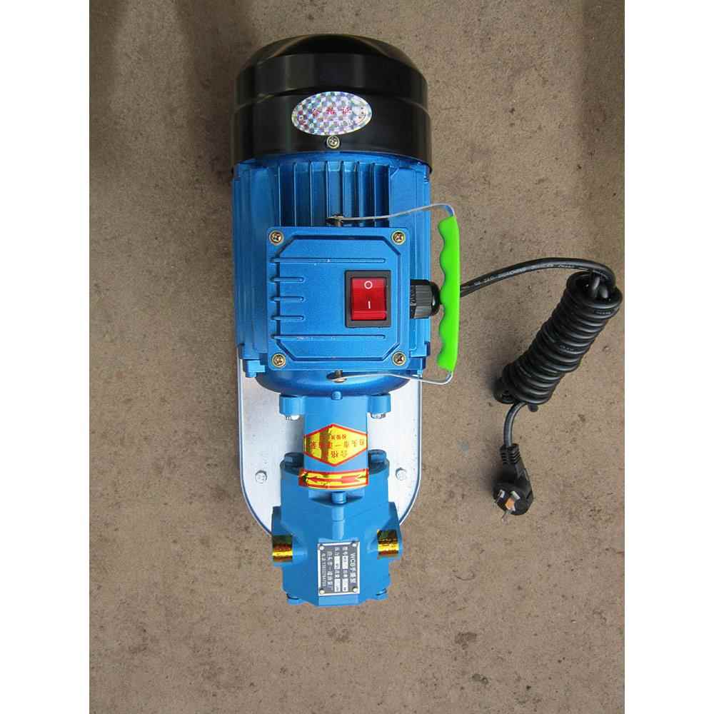 Wcb30/50/75手提式小型电动油泵220V380V家用防爆齿轮油泵泵头