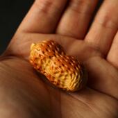 精品纯手工雕刻文玩竹雕小配饰实心竹挂件花生柿子玉竹把玩小吊坠