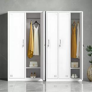 单门二门更衣柜铁皮柜带锁员工2门衣柜办公衣柜收纳柜拆装 二门柜