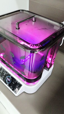 赫本食材净化机怎么样?用后一个月!【质量大揭秘