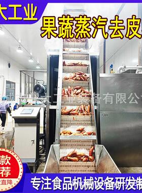 智能黄桃蒸汽去皮机 无剂物理去皮 性价比 提产品出成率