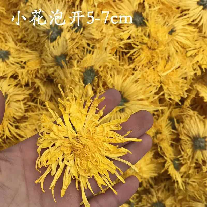 金丝皇菊散装 黄菊大花散称菊花茶大朵茶叶罐装散货去火