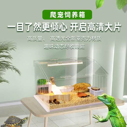 爬宠饲养箱pvc保温箱寄居蟹芦丁鸡守宫鬃狮蜥蜴蛇乌龟鹦鹉恒温箱