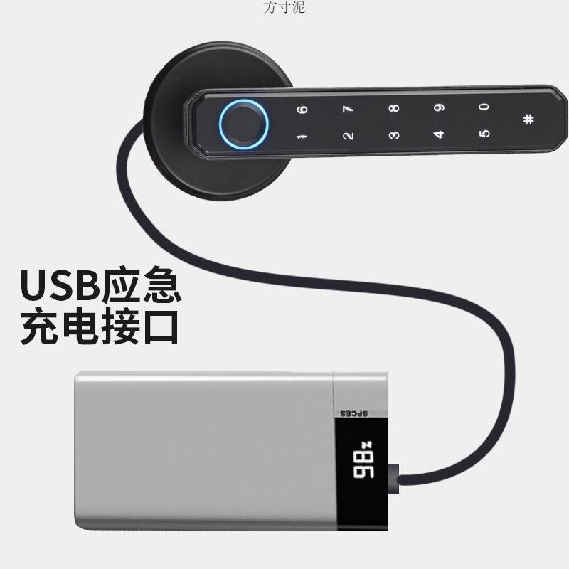 仕卫宝智能指纹门锁家用电子锁智能锁密码锁出租房卧室入户大门锁
