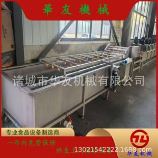 多功能清洗机大枣苹果芒果连续式 气泡清洗机过滤系统节约用水