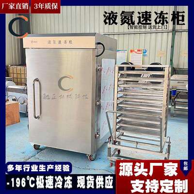 商用面团液氮速冻柜自动控温麻酱包子速冻机小型面食急冻