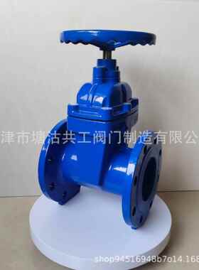 美软密封闸阀Z45X美阀标闸球墨铸铁4640德标F弹标性座法兰闸阀