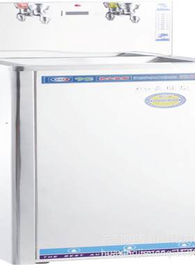 商用W800豪华型不锈钢饮水机净水器直饮机温热冰热型一体净水器