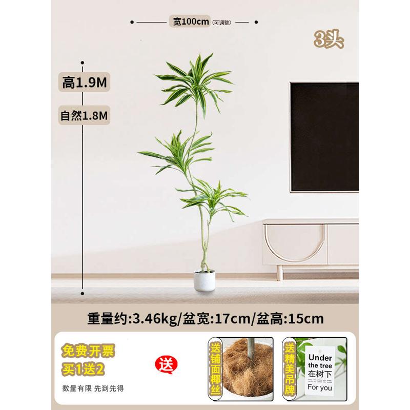 风落地铁树客厅美人摆件绿植装饰玄关大型侘寂假植盆栽室内仿真物