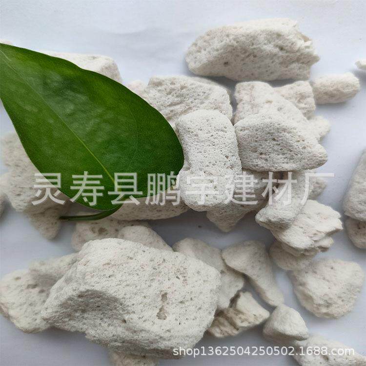 现货颗粒土铺面石钵底石材料用轻石隔水垫底园艺多肉植物轻石