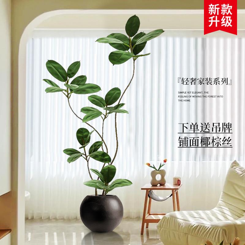 高级感彷真绿色植物黑金刚橡皮树室内沙发旁假植物彷生盆栽落地摆