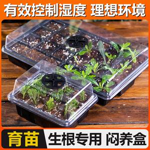 闷养箱育苗盒培育盘加高套装带盖子大型庭院园艺扦插保温湿御寒暖