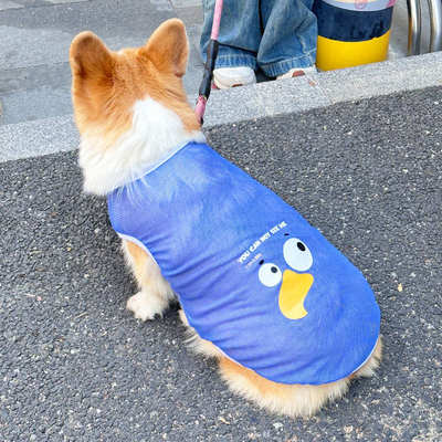 宠物狗狗衣服薄款透气背心柯基防掉毛中型犬开春夏天春装2025新款