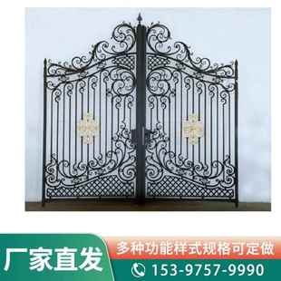 浙江江苏铁艺庭院门别墅家用入户门工厂学校双铁艺大门支持外贸
