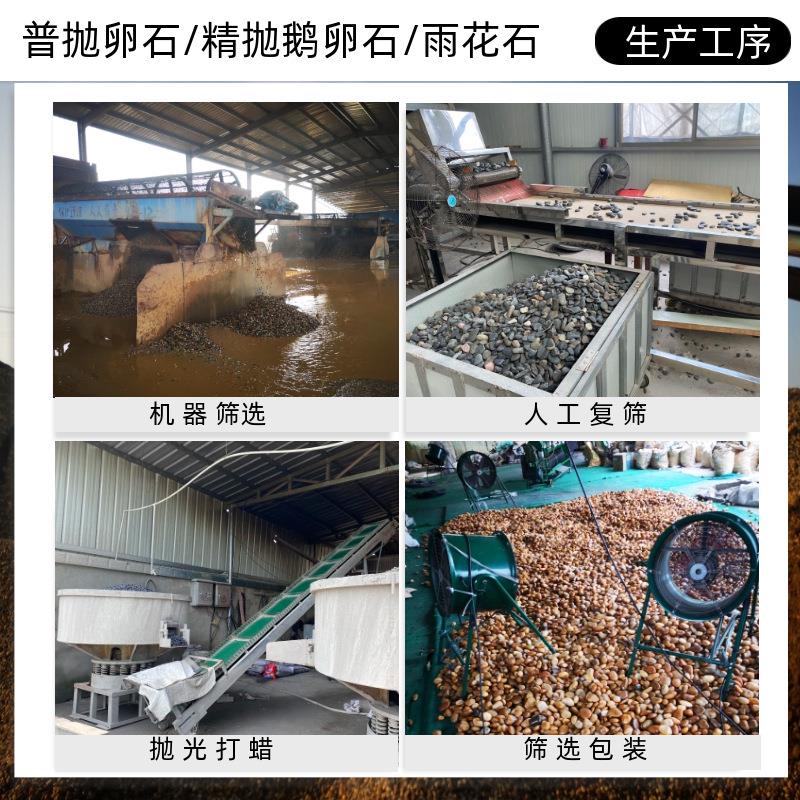 彩天艺园林工程景观计用设五高光品鹅卵石雨精花88石卵石