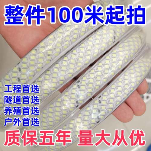 隧道养殖照明灯带led超高亮220V灯条户外家用防水工程亮化送插头