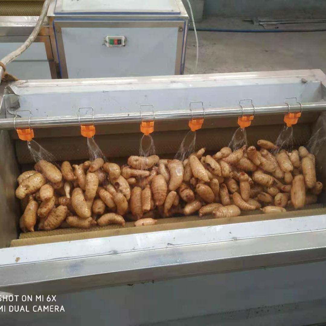 玉竹黄精去泥清洗机沥水输送机甘草天马加工设备各种中药材去泥清
