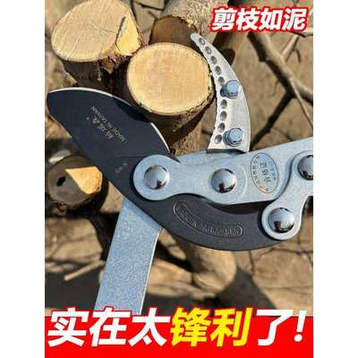 修剪树枝剪园艺粗枝果树园林大力竹子专用电花树枝伸缩动剪刀钳子