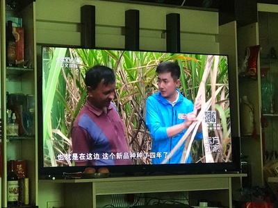 【报价行情】TCL65q8和海信H65E3A哪个好,区别原来这么大?